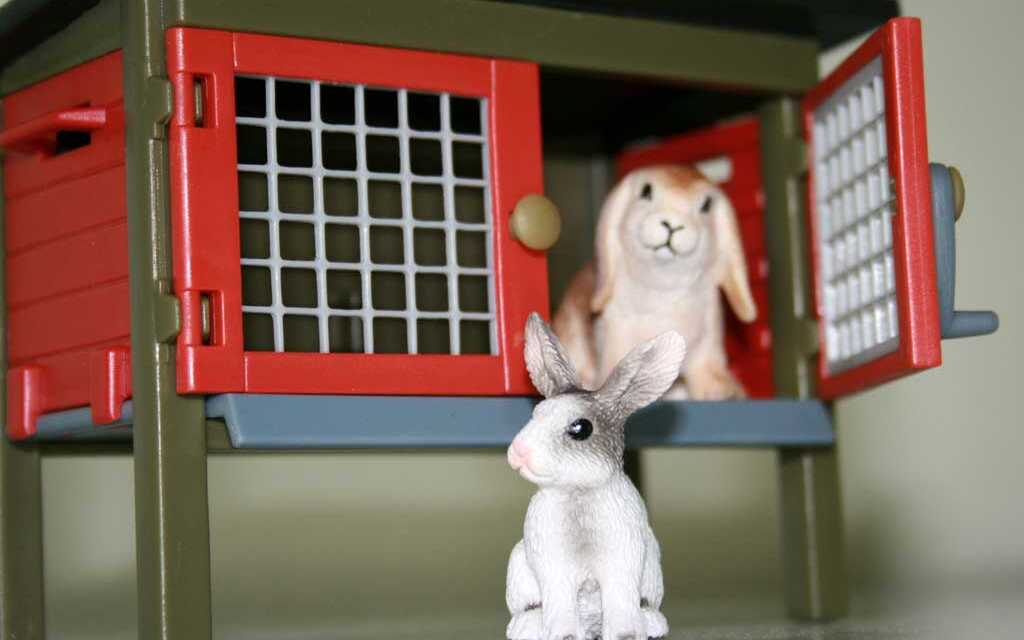 Rabbit Hutch