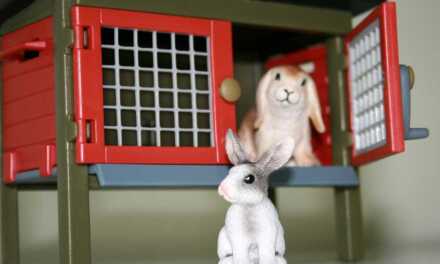 Conejero de conejo