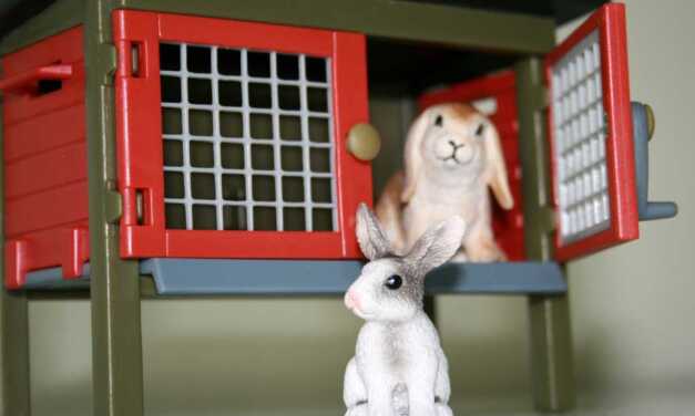 Clapier de lapin