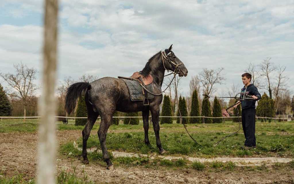Adiestramiento de caballos
