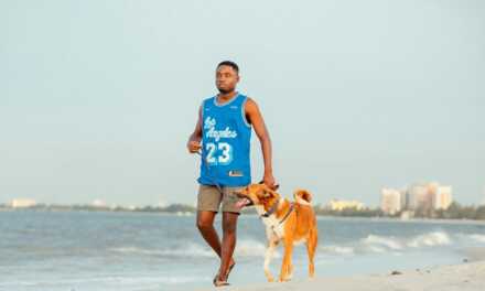 Los beneficios de las caminatas diarias para perros y dueños.