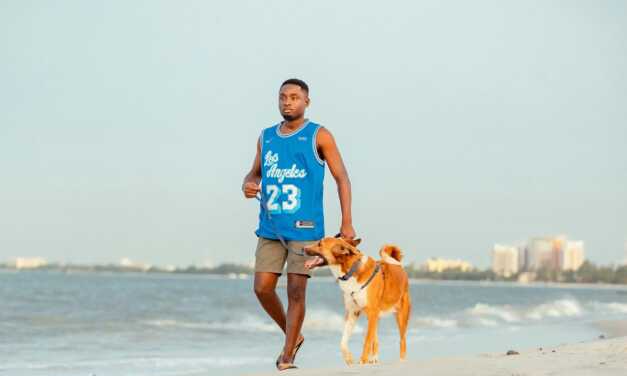 Les avantages des promenades quotidiennes pour les chiens et leurs propriétaires
